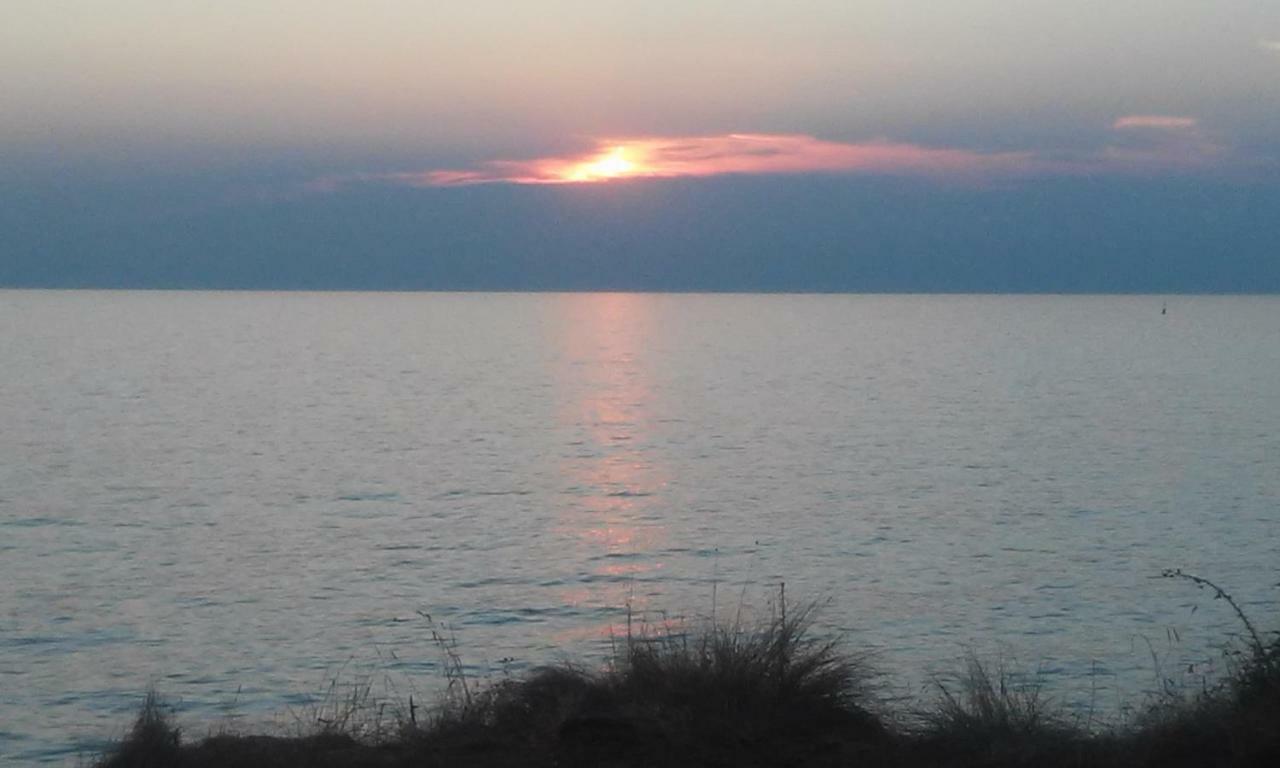 Novigrad Istria Delfin 아파트 외부 사진